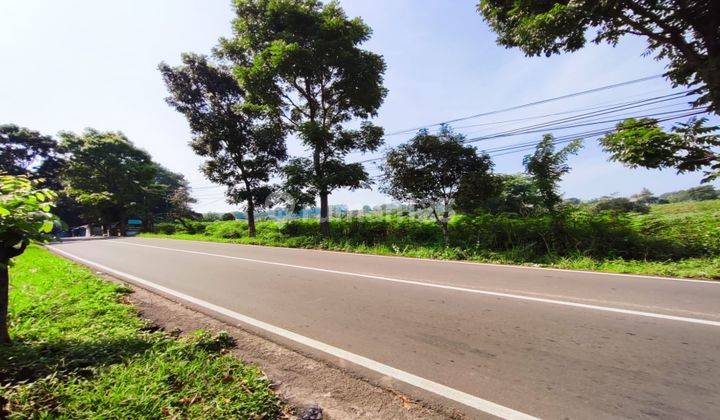 Tanah Sentul Pinggir Jalan Utama Rainbow Hill Cijayanti Murah 2