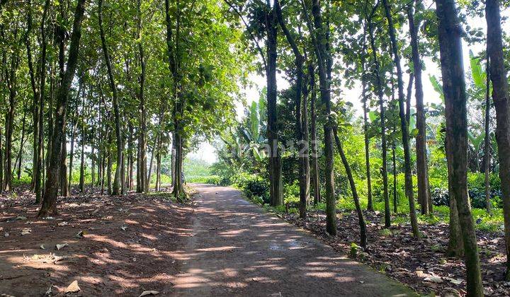 tampak depan dijual tanah cijeruk cibalung murah
