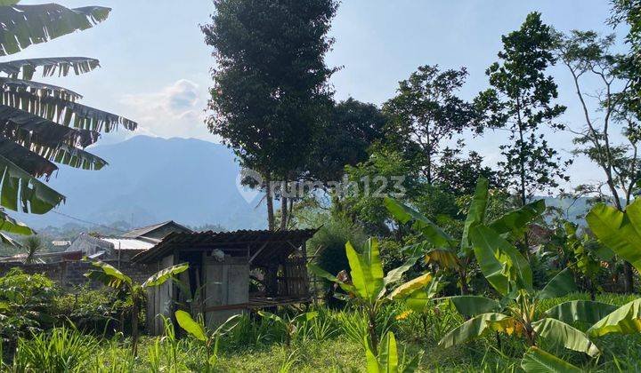 Tanah Cijeruk Tajur Halang Best View Murah Dekat Jalan Utama 1