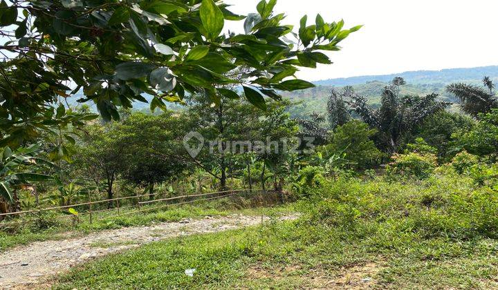 Dijual Tanah Pabuaran Sukamakmur Puncak Dua Best View Murah 1