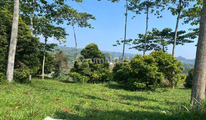 dijual tanah cijeruk murah view gunung salak cocok untuk villa 2