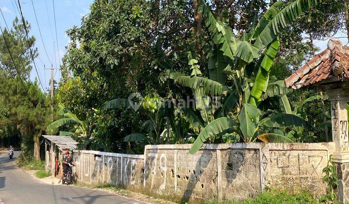 Dijual Tanah Murah Cijeruk Cigombong Gunung Salak Dekat Salaca 2