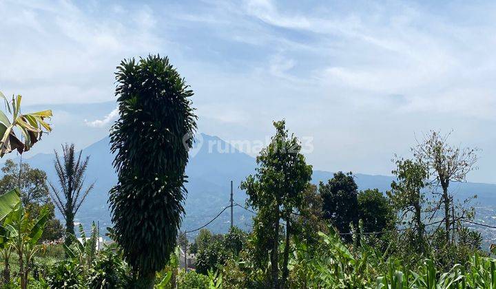 Tanah Cigombong Murah Dekat Tol Caringin Best View 1