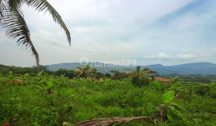 Tanah Sukamakmur Pabuaran Pinggir Jalan Utama Best View Murah 1