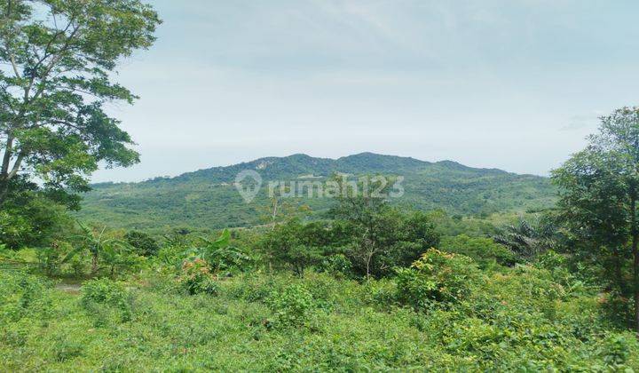 Tanah Sukamakmur Murah Siap Bangun Vila Atau Berkebun 1