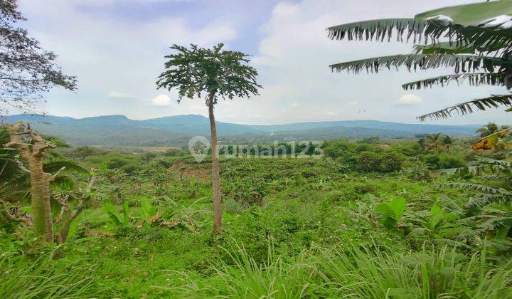 Tanah Sukamakmur Pabuaran Pinggir Jalan Utama Best View Murah 2