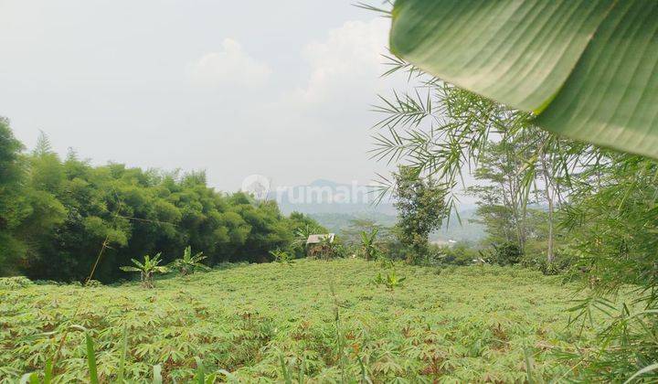 Tanah Dijual Di Sukamakmur Bogor Murah Best View Cocok Untuk Vila 1