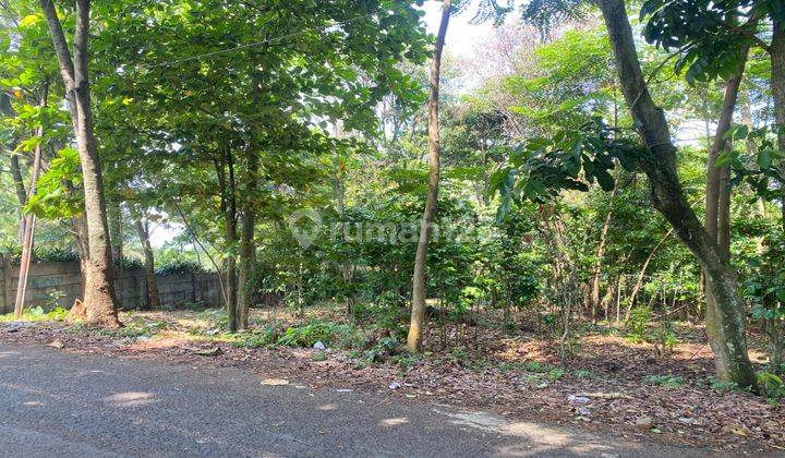 Dijual Tanah Di Sentul Cijayanti Murah Cocok Untuk Minj Cluster 1