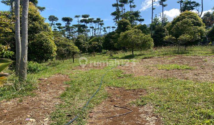 Tanah Cocok Untuk Villa Di Cijeruk Tajur Halang Bogor View Gunung 2