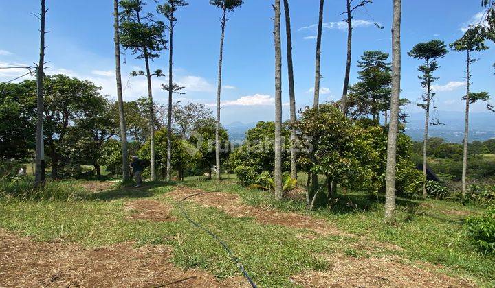 Tanah Cocok Untuk Villa Di Cijeruk Tajur Halang Bogor View Gunung 1