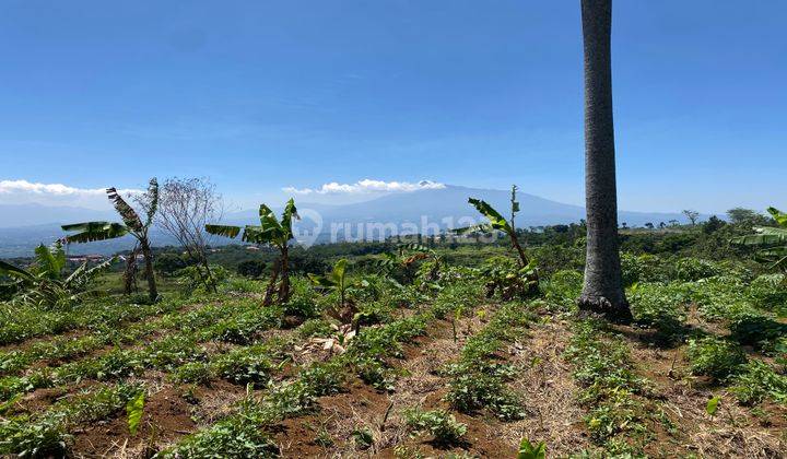 Dijual Tanah Cijeruk Cocok Untuk Perumahan View Gunung Dan Kota 1