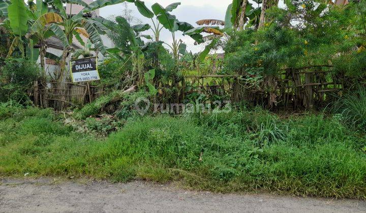 Tanah Kavling Jalan Semar Cilegon Shm Masih Nego 1