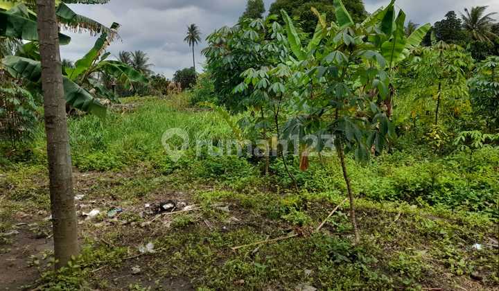 Tanah Jalur Lingkar Utara Cilegon Zona Industri 4