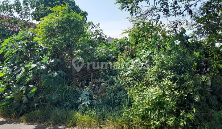 Tanah Kavling Jalan Sadewa Kavling Blok J Cilegon Tanah Kavling Jalan Sadewa Kavling Blok J Cilegon