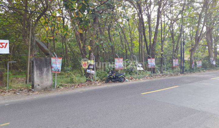 Tanah Jalan Utama Anyer Dekat Villa Baduy 1