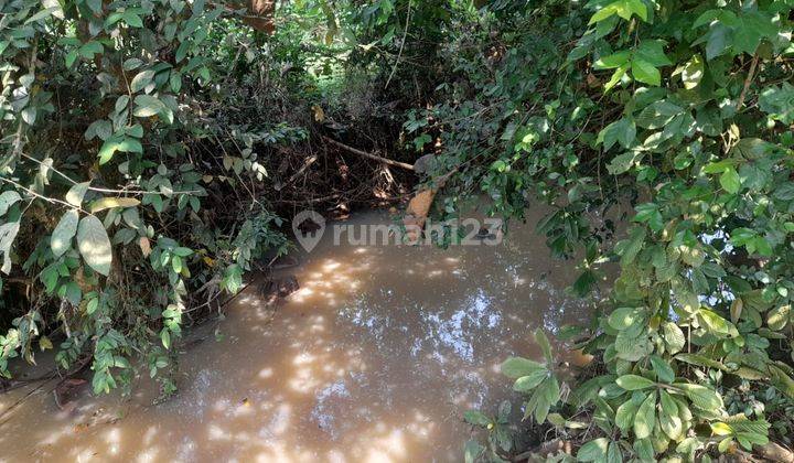 Tanah Kebun Link Bojong Nangka Petir Sudah Shm 2