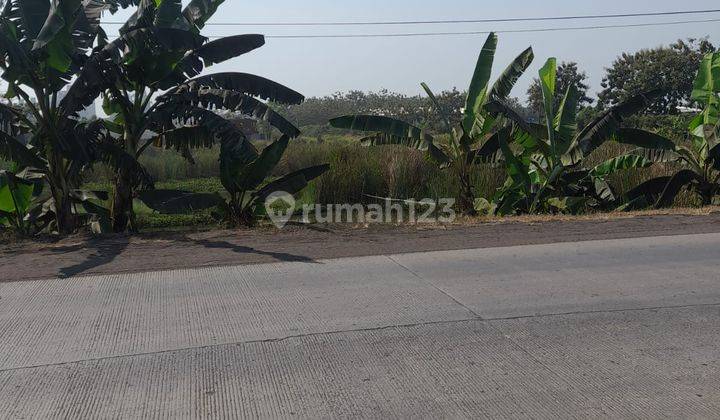 Tanah Strategis Jalan Bojonegara Zona Industri 1