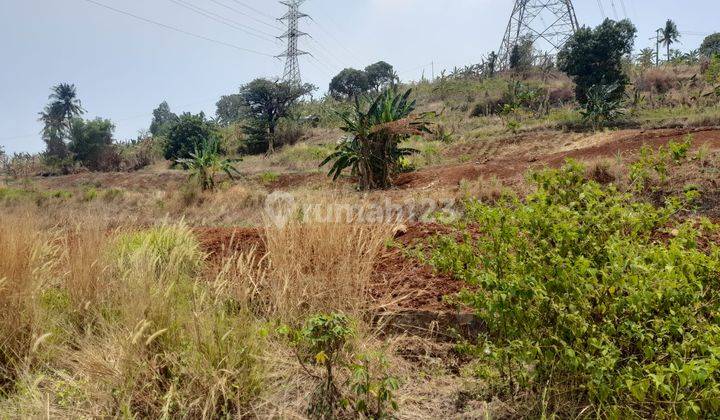 Lahan Luas Lebak Gede Merak 1