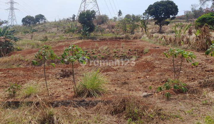 Lahan Luas Lebak Gede Merak 2