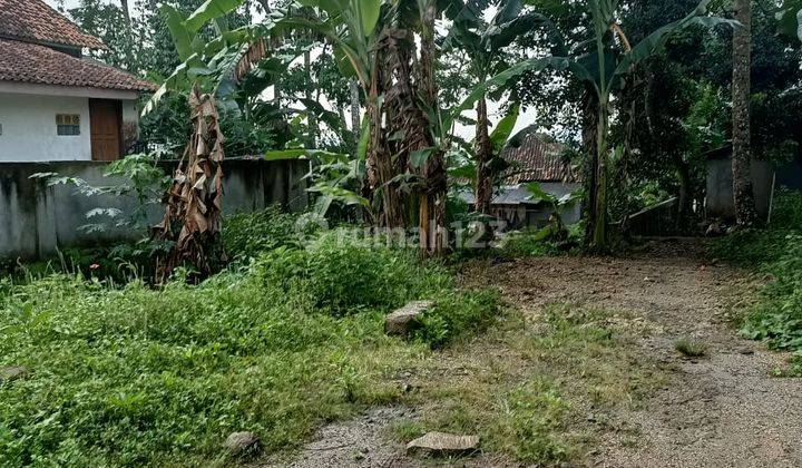 Tanah Kavling Kp Cibatu Pabuaran Harga Miring 1