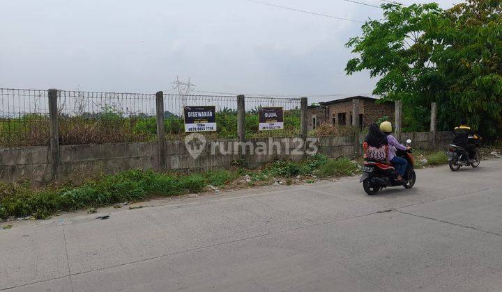 Tanah Jalan Utama Bojonegara Gedong Dalem 1