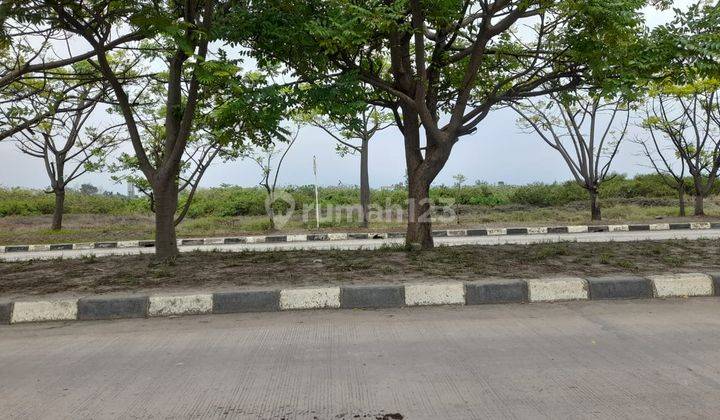 Tanah Multifungsi Bojonegara Ada Jetty 1