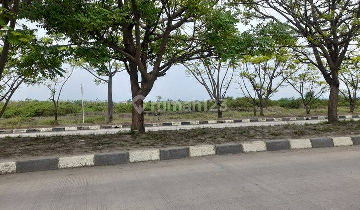 Tanah Multifungsi Bojonegara Ada Jetty 2