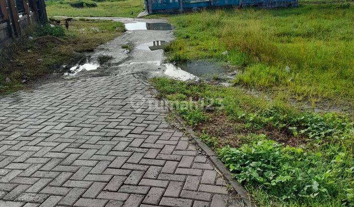 Tanah Link Ketileng Cocok Bangun Hunian Idaman 1