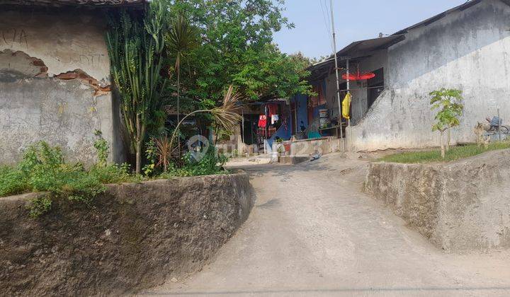 Rumah bedeng hitung tanah tegal tong citangkil 1