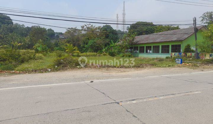 Tanah Jalan Utama Pasauran Nego Sampai Deal 1