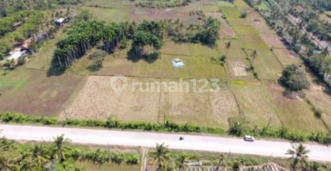 Tanah Tanjung Lesung Nempel Pantai Cocok untuk Resort