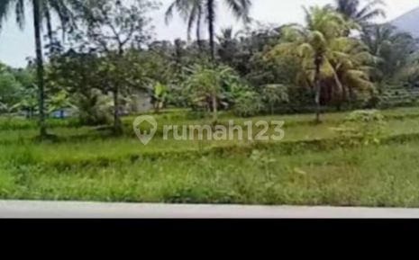 Tanah Tanjung Lesung Nempel Pantai Cocok untuk Resort
