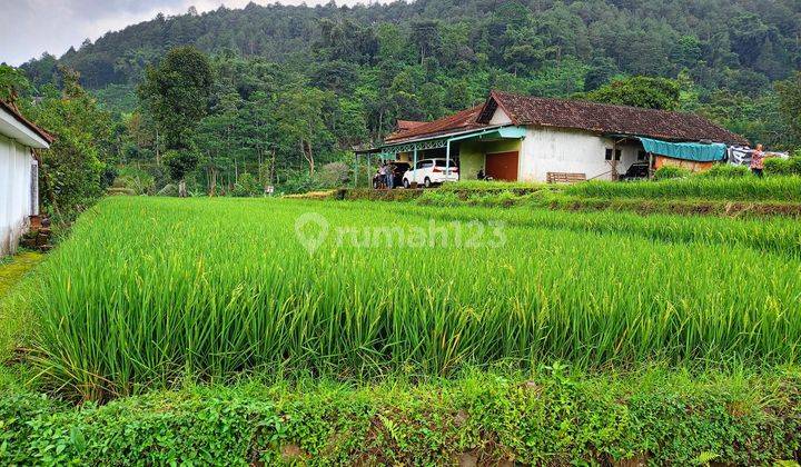 Dijual Rumah di Pacet Mojokerto 2