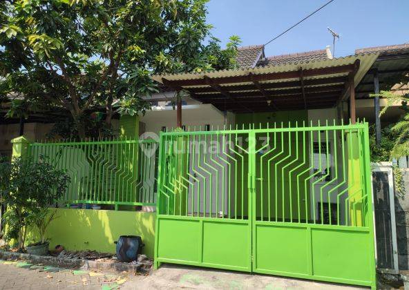 Disewakan Rumah Siap Huni Pesona Alam Gunung Anyar Merr Surabaya 1