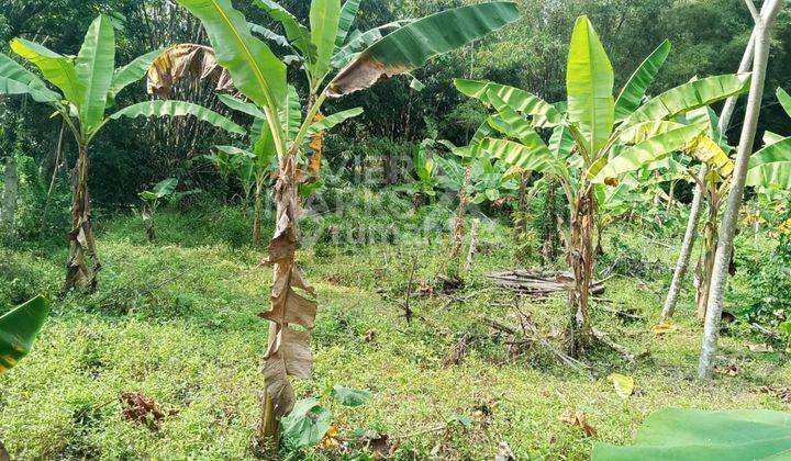 Tanah Siap Bangun Lokasi Strategis di Buring Kedungkandang Malang 1