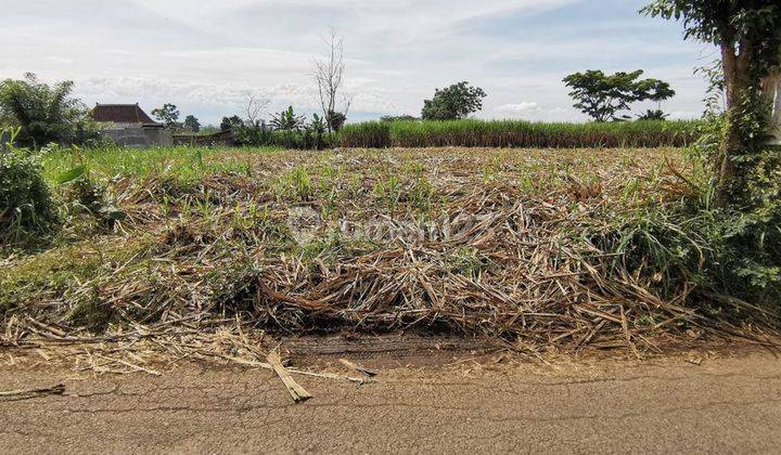 Tanah Cocok Untuk Perumahan di Karangploso Malang 1