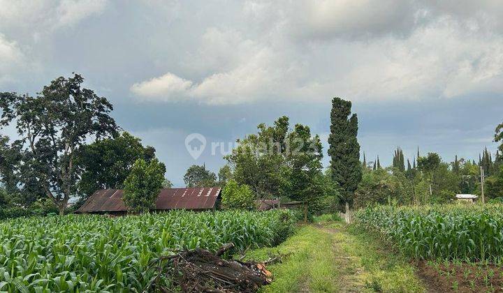 Tanah Dekat Museum Angkut di Sisir Batu Malang 2