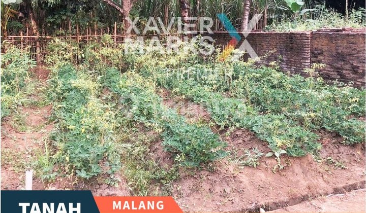 Very Cheap For Sale Land on Road Zero in Tlogowaru Kedungkandang Malang