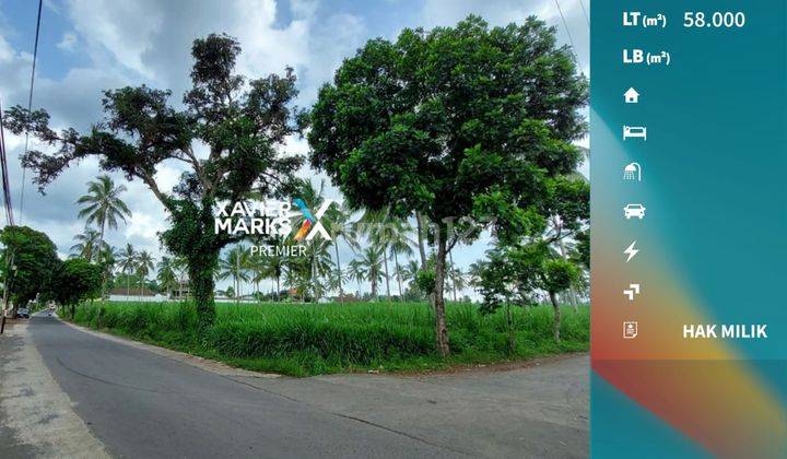 Dijual Cepat Tanah Lokasi Strategis Pinggir Jalan Utama Dampit Malang 1