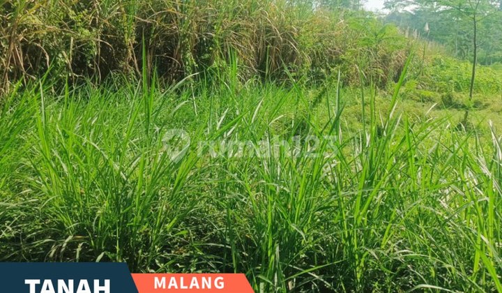 Cheapest in its Class, Ready-to-Build Land for Sale in Wonokoyo, Malang Cheapest in its Class, Ready-to-Build Land for Sale in Wonokoyo, Malang