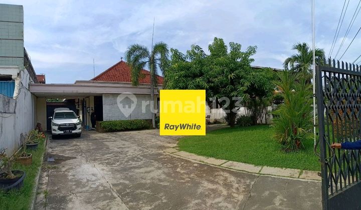 Rumah Di Dr. Cipto Luas 1000m Semarang 1