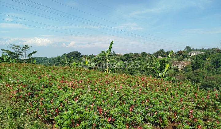 Kavling di Budi Indah Bandung Utara View Lembah 1
