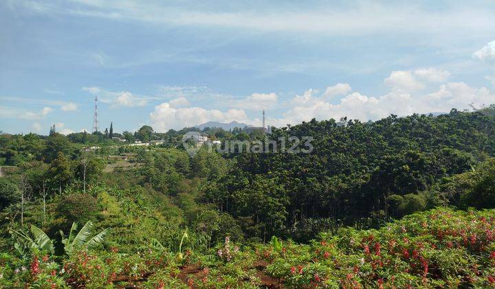 Kavling di Budi Indah Bandung Utara View Lembah 2