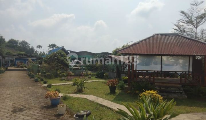 Villa di Cisarua Bandung Barat Cocok Untuk Yayasan atau Perkebunan