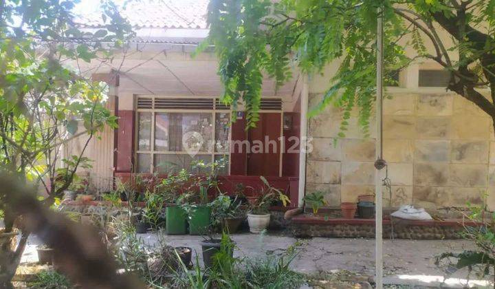 Dijual Rumah Jl Kemuning Jarang Ada Termurah 2