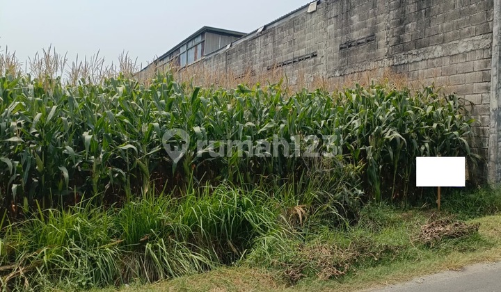 For Sale Strategic Land (One Step to Provincial Highway) For Sale Strategic Land (One Step to Provincial Highway)