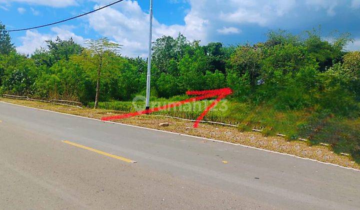 Dijual Tanah Labuan Bajo Pinggir Kota Labuan Bajo. Investasi Menguntungkan, Beli Sekarang 2