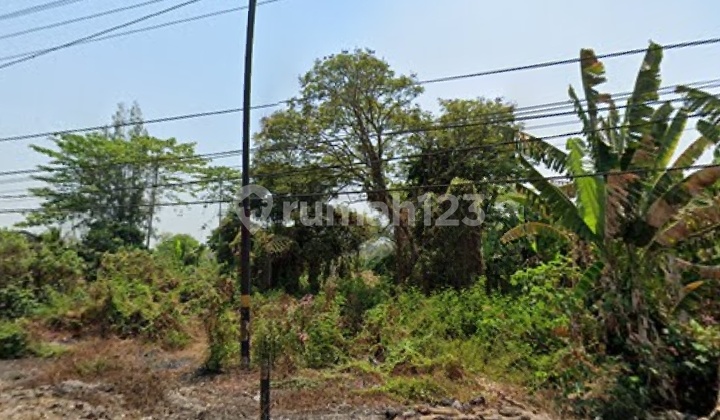 DIJUAL TANAH NOL JALAN RAYA SURABAYA MALANG, PANDAAN DIJUAL TANAH NOL JALAN RAYA SURABAYA MALANG, PANDAAN