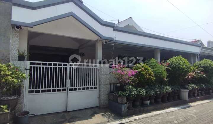 FOR SALE HOUSE Tawangsari Permai Housing, Sidoarjo FOR SALE HOUSE Tawangsari Permai Housing, Sidoarjo
