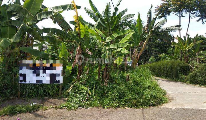 Murah dan langka tanah padasaluyu 1